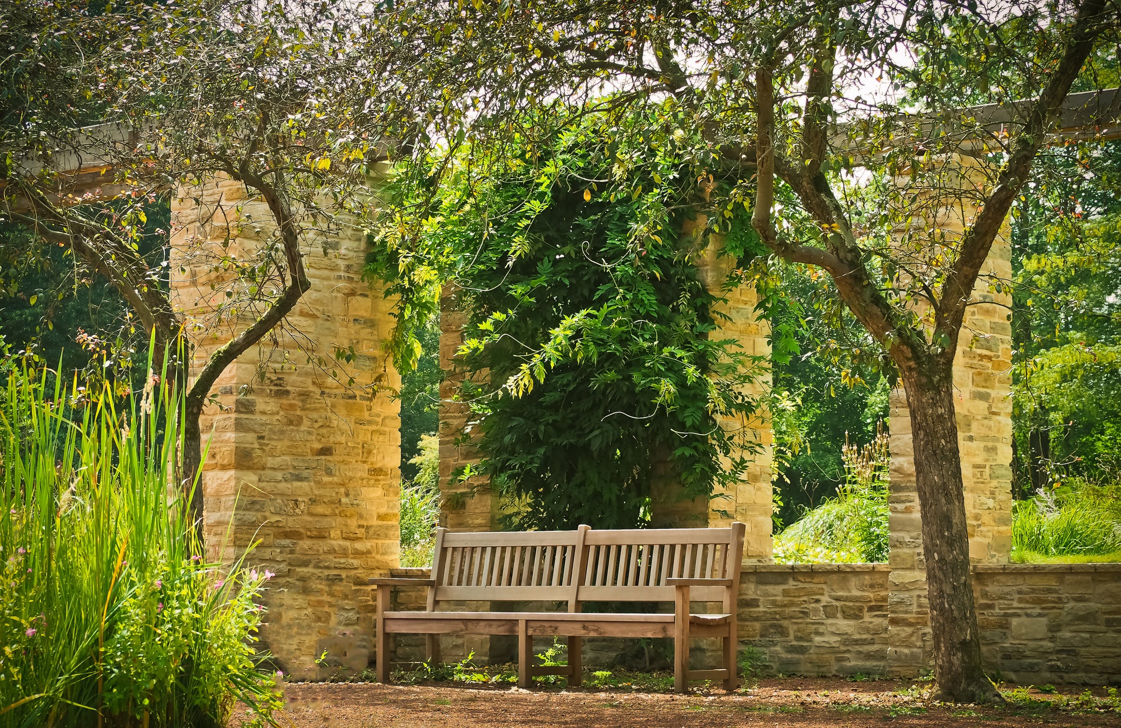 Wooden bench in a park