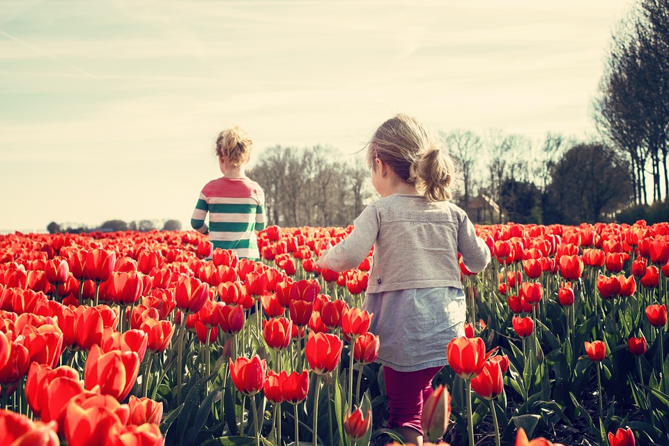 Children win school gardening competition