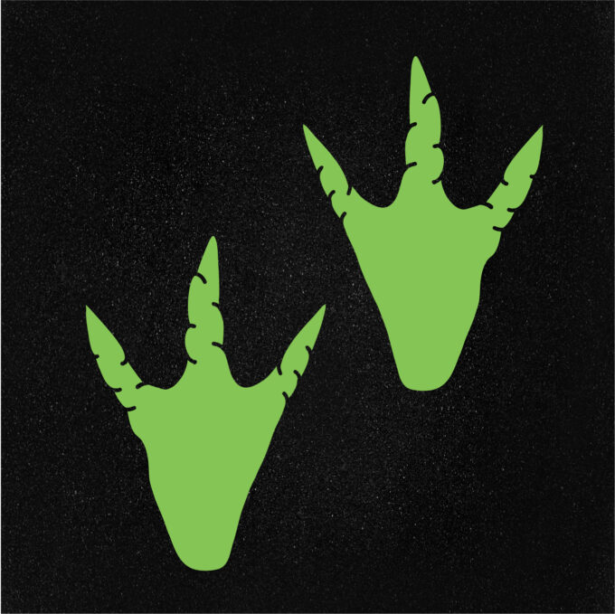 Dino Prints