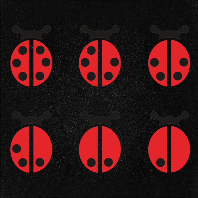 Ladybird Counters